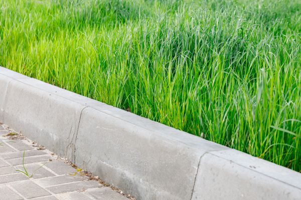 Cost of Concrete Curb Repair in Bloomington